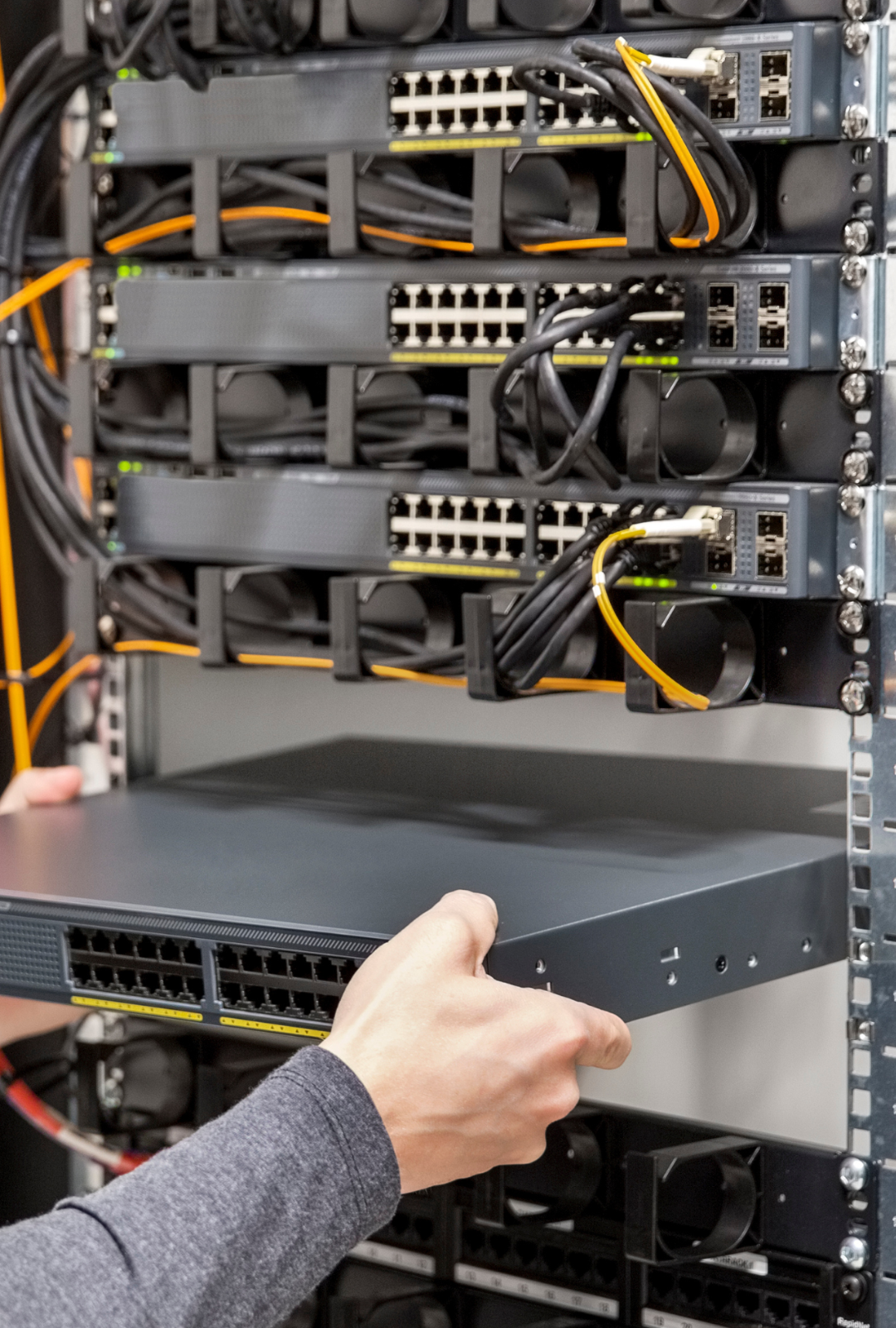 swt-netlogy